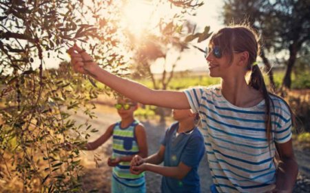 Svolta nel turismo dell’olio, arrivano il rapporto annuale e il sito ufficiale con oltre 300 experience