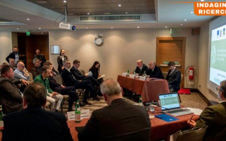 Pinot Grigio Delle Venezie: sfide e opportunità per il futuro