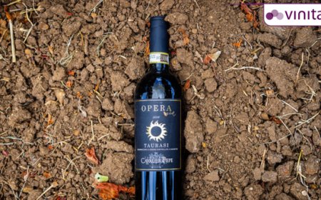 Tenuta Cavalier Pepe a Vinitaly 2024: sotto i riflettori l'impegno in cantina e in vigna