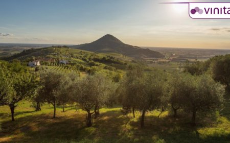 Gli appuntamenti del Consorzio Di Tutela Vini Colli Euganei a Vinitaly