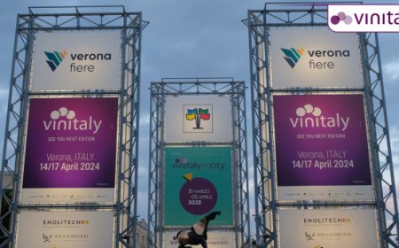 Se sparisce la filiera del vino scompare l'1,1% del PIL italiano. A Vinitaly i numeri di un comparto vitale per l'economia