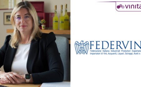 A Vinitaly l'analisi di Federvini accende i riflettori sui valori del vino italiano