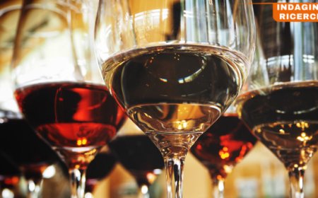 Vino nella Grande Distribuzione: lo studio "Circana per Vinitaly"