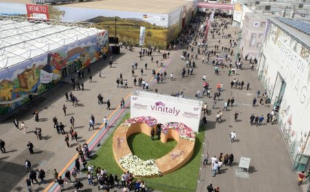 Vinitaly 2024 chiude con 97mila presenze, oltre 30mila operatori dall'estero