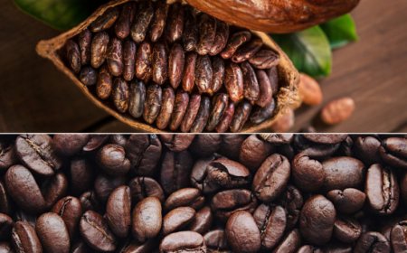 I rincari di caffè e cacao non accennano ad arrestarsi. Gli highlights di Aretè