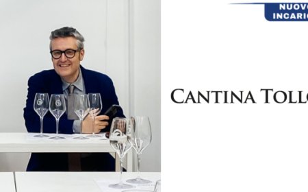 Gianluca Orsini è il nuovo presidente di Cantina Tollo