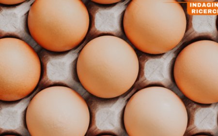 Uno sguardo agli ultimi dati dal mercato delle uova