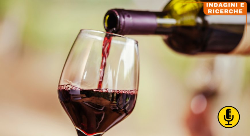 Tendenze chiave per il mercato del vino statunitense nel 2024