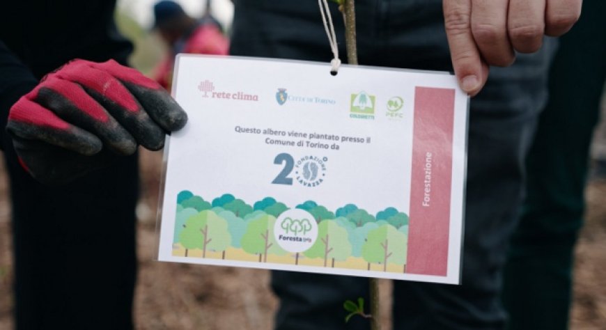 Rete Clima e Fondazione Lavazza insieme con 500 nuovi alberi a Torino