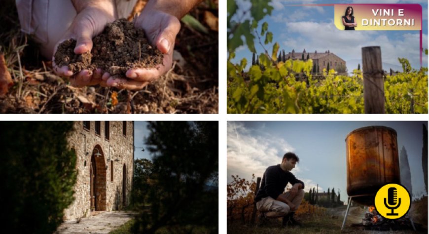 La Toscana fuori dagli schemi nei vini di Colline Albelle