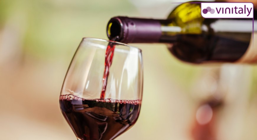 Uiv a Vinitaly 2024 con 500 cantine e proposte per competitività del settore vino