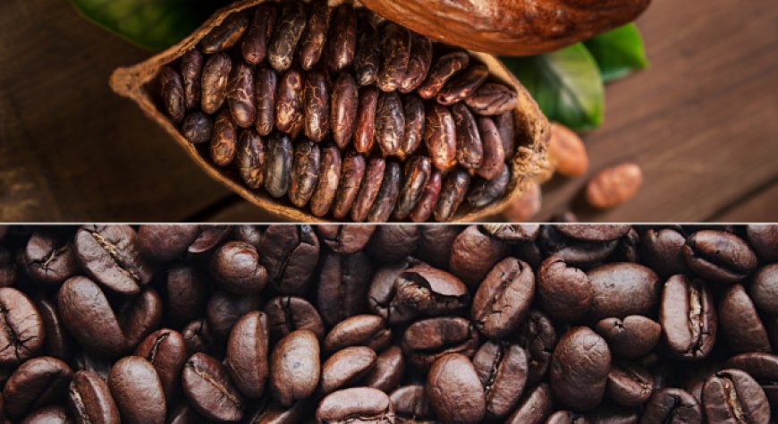 I rincari di caffè e cacao non accennano ad arrestarsi. Gli highlights di Aretè