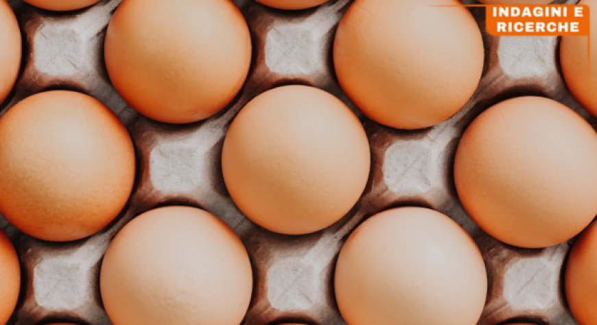 Uno sguardo agli ultimi dati dal mercato delle uova