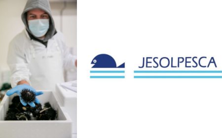 JesolPesca amplia l'ufficio commerciale e punta sulla consulenza ai clienti