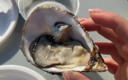 Italian Oyster Fest a La Spezia, il festival italiano dedicato all’ostrica