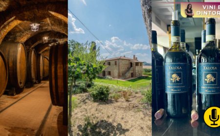 La seconda giovinezza di Fattoria della Talosa, un pezzo di storia del Nobile di Montepulciano