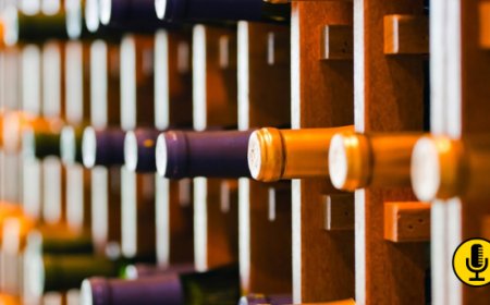 Nasce Wine in Action, il primo programma di accelerazione dedicato al settore vinicolo