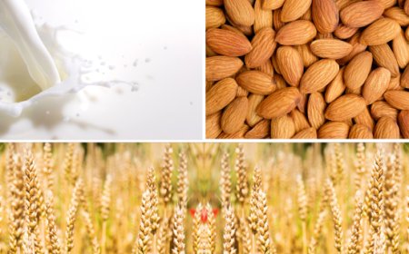 Novità dai principali mercati: Mandorle, Latte e Frumento tenero