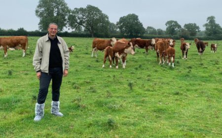 Horeca, segmento carne di Cattel SpA: prodotti di alta qualità  grazie alle private label