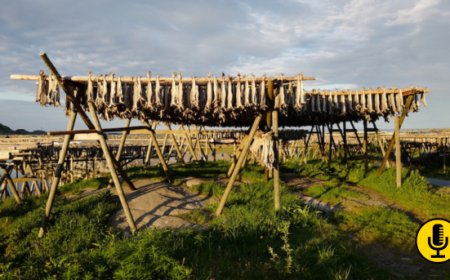 Seminario annuale del Norvegian Seafood Council: focus su trend e prospettive del mercato ittico italiano