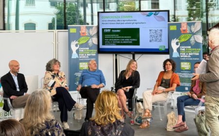 L’appello di FederBio per il voto europeo: fondamentale sostenere l'agroecologia