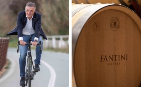 Fantini Wines: strategie di successo nel mercato del vino 2024