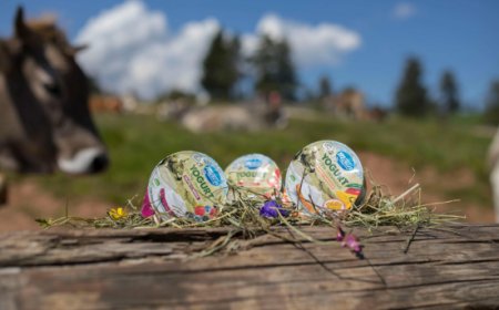 Giornata Mondiale del Latte: Latteria Sociale Merano racconta il ''Latte Fieno''