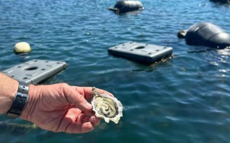 La seconda edizione di Italian Oyster Fest si conferma un successo
