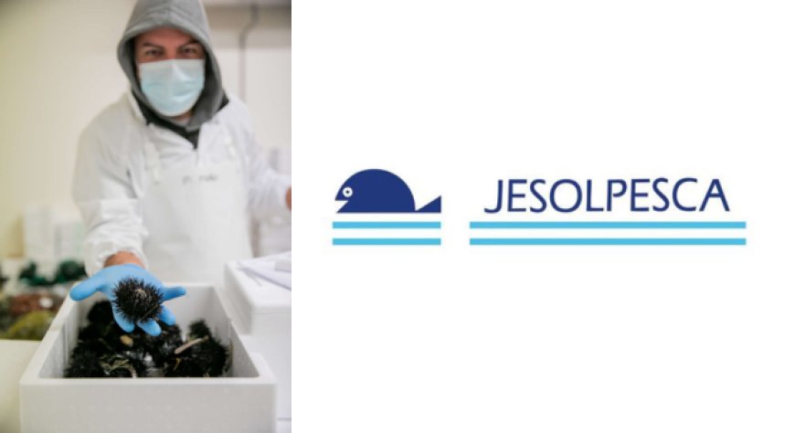 JesolPesca amplia l'ufficio commerciale e punta sulla consulenza ai clienti