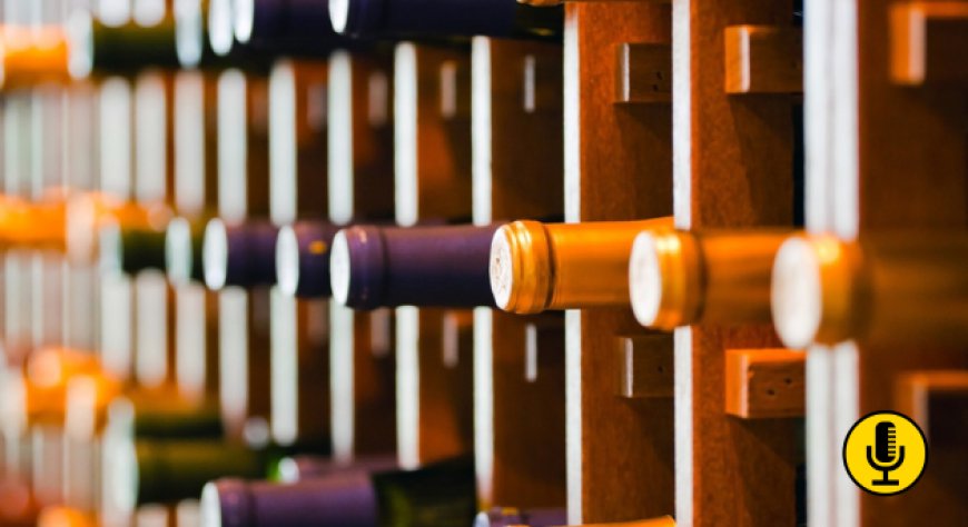 Nasce Wine in Action, il primo programma di accelerazione dedicato al settore vinicolo