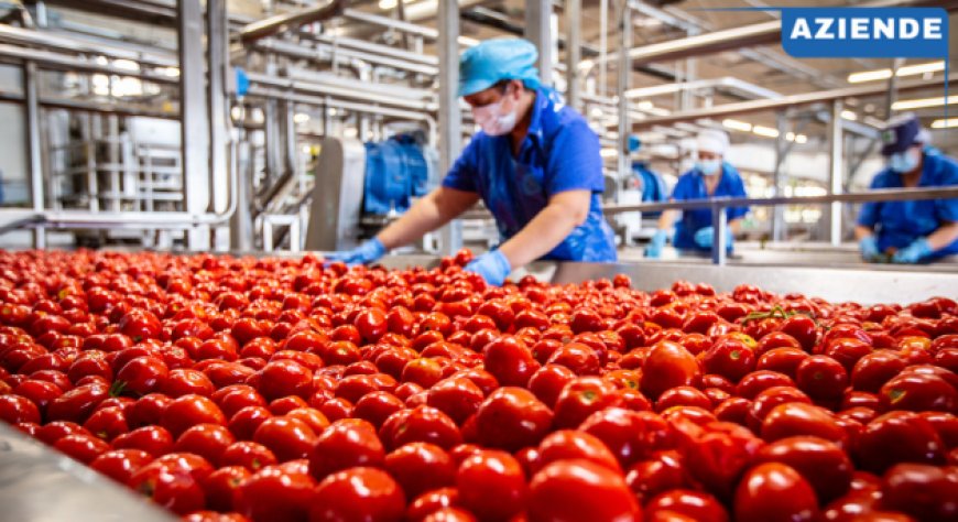 Conserve Italia pronta ad assumere 1.350 lavoratori stagionali per la trasformazione del pomodoro da industria