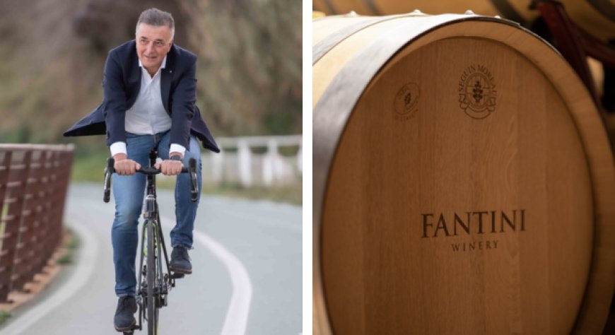 Fantini Wines: strategie di successo nel mercato del vino 2024
