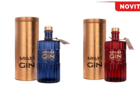 World Gin Day. I nuovi gin di Lolli Liquori protagonisti della mixology estiva