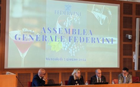Federvini. Boom dell'export: l'Italia secondo operatore mondiale per il vino