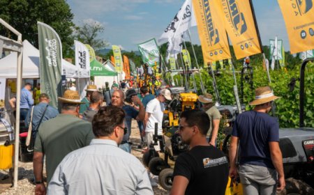 Enovitis in Campo 2024: alla scoperta delle tecnologie per la viticoltura