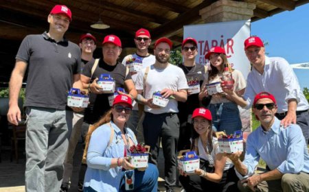 Casoni a Vignola per la raccolta a mano delle ciliegie