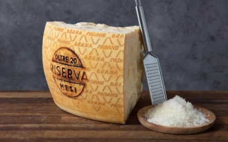 Produzione di Grana Padano + 2,42% nei primi cinque mesi del 2024