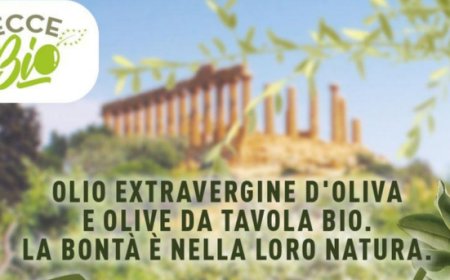 EcceBio: al via la seconda maratona gastronomica tra ristoranti e punti vendita di Roma