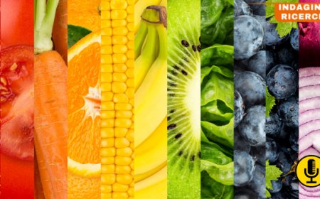 Distretti agroalimentari italiani: l'export sfiora i 27 miliardi di euro