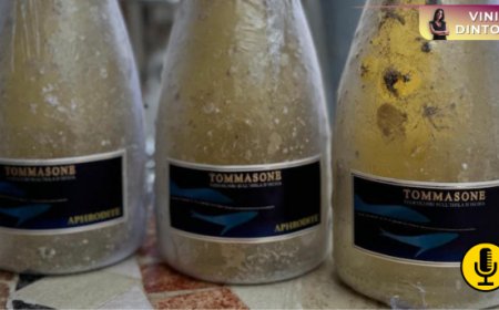 La Pietra di Tommasone presenta Aphrodite, il primo spumante metodo classico campano affinato in mare