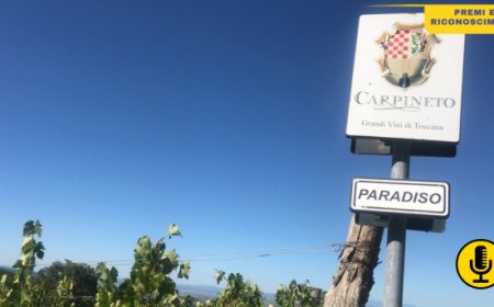 Il Brunello di Montalcino Carpineto trionfa ai Decanter Wine Awards 2024