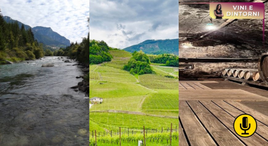 La poesia della Val Di Cembra: terra della viticoltura eroica, regno del Muller Thurgau
