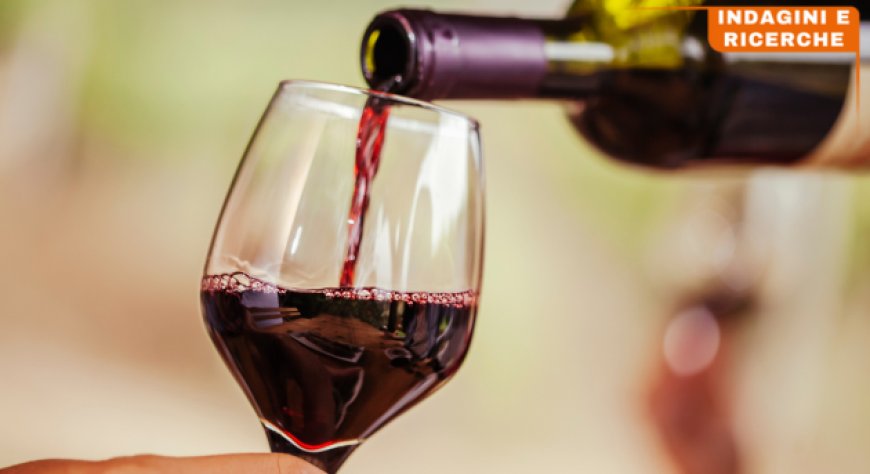 Aumento delle vendite e dell'export nel settore vinicolo. L'indagine Mediobanca