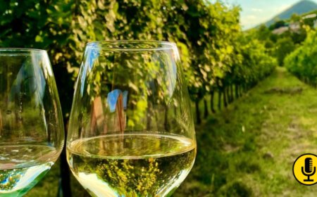 Al via il Serprino Festival 2024