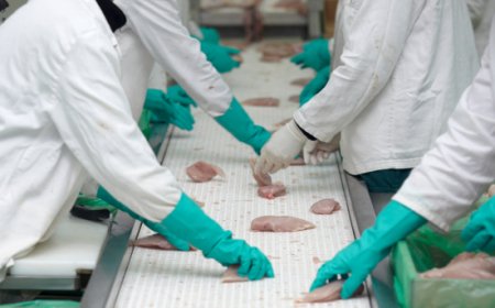 L'ozono per abbattere i cattivi odori nella filiera alimentare