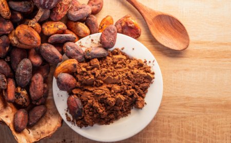 Rallenta in Europa l'aumento dei prezzi del cacao