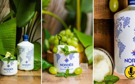 Sorbetto al gin tonic Nordés: la novità estiva del ristorante CASALOCA di Roma