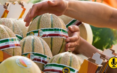 Melone Mantovano Igp, occhi puntati sul prossimo bimestre