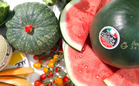 ''Dolce Passione'', l'anguria italiana prodotta da Lorenzini Naturamica