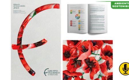 Gruppo Felsineo: pubblicato il quarto bilancio di sostenibilità